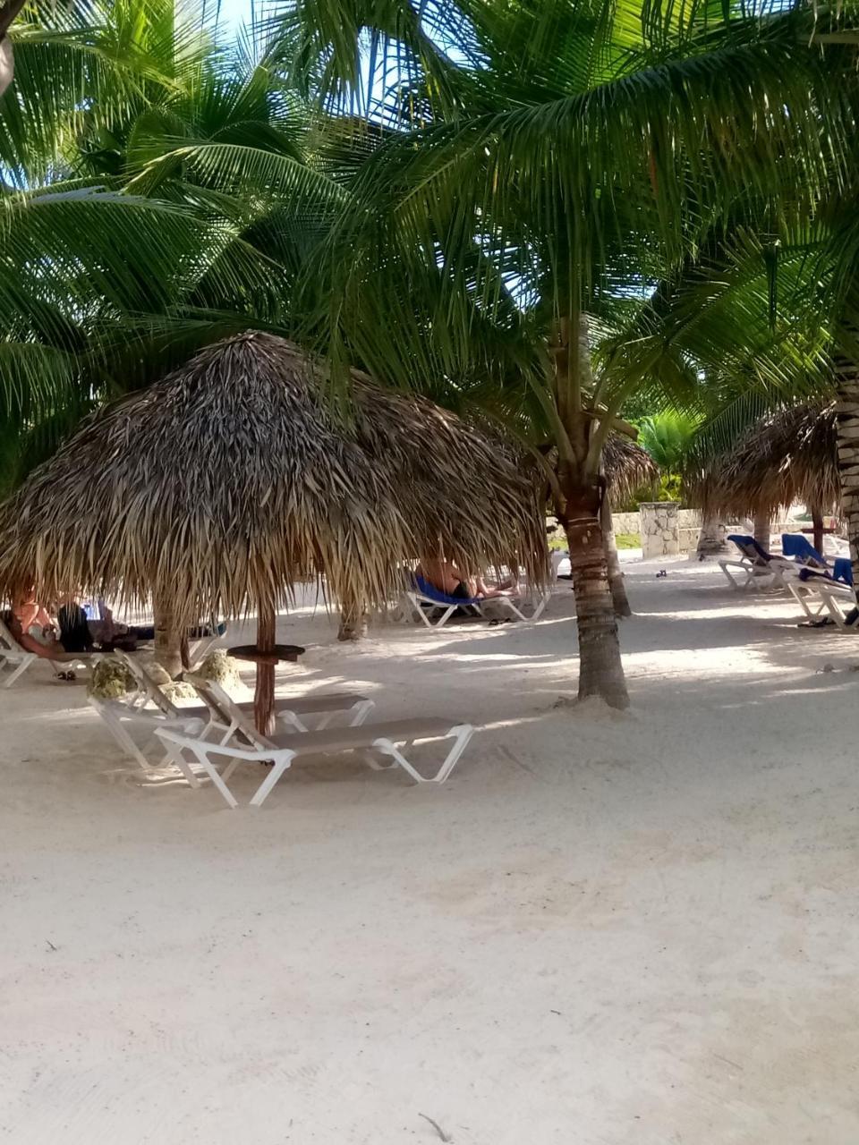 Apartamentos Y Habitaciones Sol Dominicus Solo Adultos La Laguna Eksteriør bilde